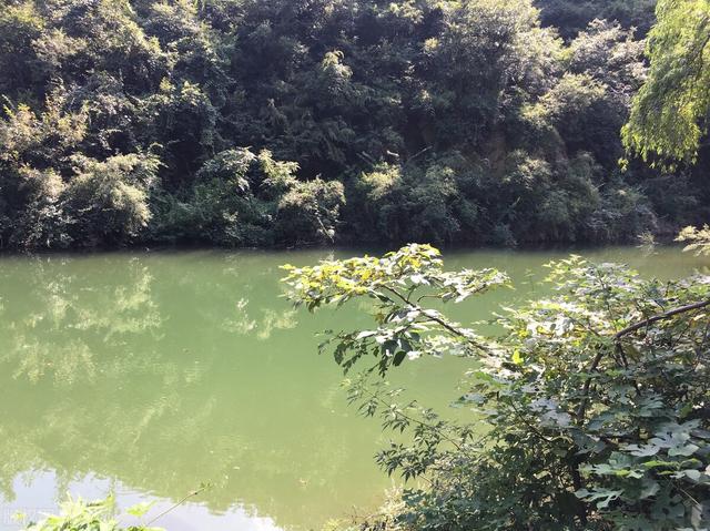 济源旅游景点哪里好玩，济源旅游攻略必去景点推荐（探寻济源周边自驾游胜地）