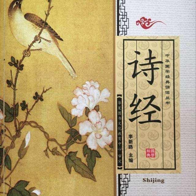 任氏是贵族吗，皇族最纯正的十个姓氏（奔吴之前的人生轨迹和事略探讨）