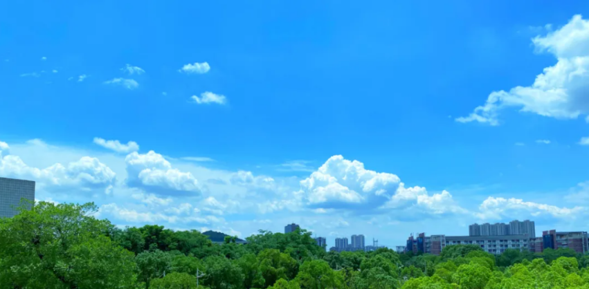 武汉大学精品课程（高颜值）