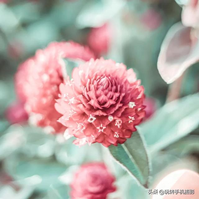 什么情况下拍照用HDR模式，拍照中的hdr是什么模式（你想不到的公园拍照技巧）