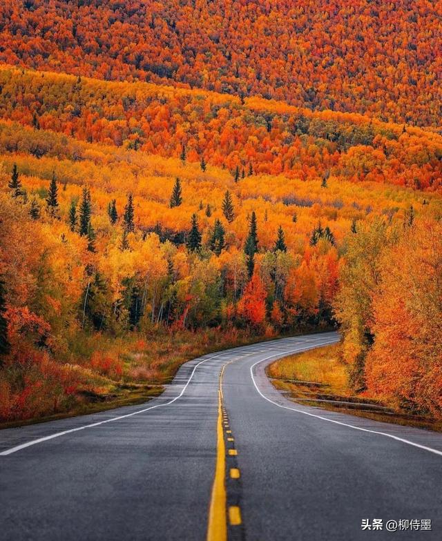 好看的照片风景，怎样才能拍出好看的风景照片（4句口诀让照片更有看点）