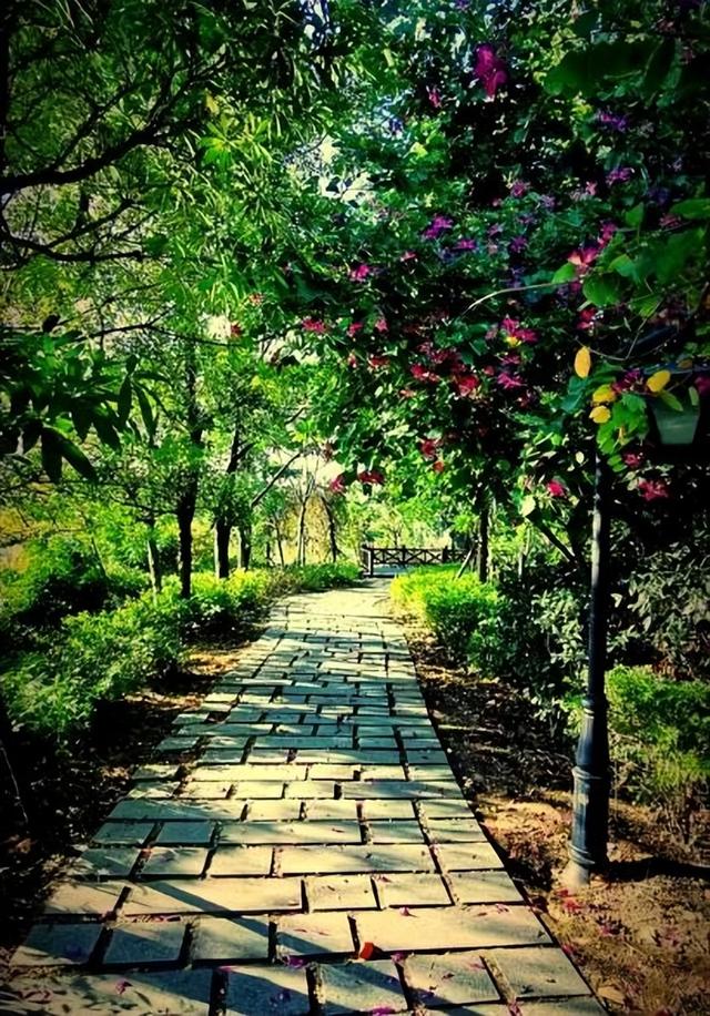 哲学是什么意思，哲学是什么梗（现代人缺乏的是什么）