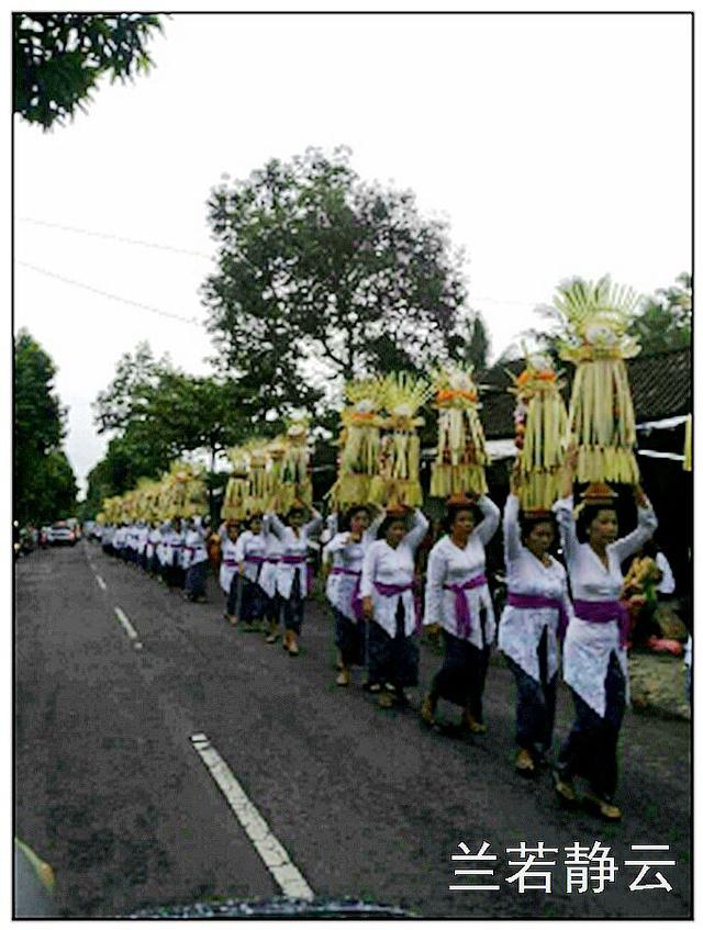 猫屎咖啡的价格，猫屎咖啡多少钱一杯（印尼巴厘岛旅游）