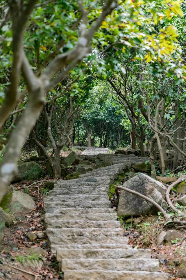 深圳好玩的免费景点，深圳哪里好玩的景点（来深圳这10个地方免费玩）
