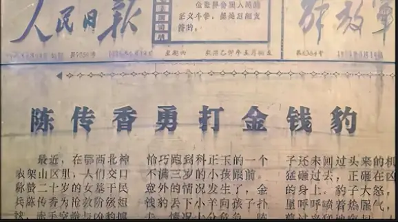 如果一只饥肠漉漉的成年美洲豹遇到手无寸铁的30岁泰森， 你觉得结果会怎么样？为什么？