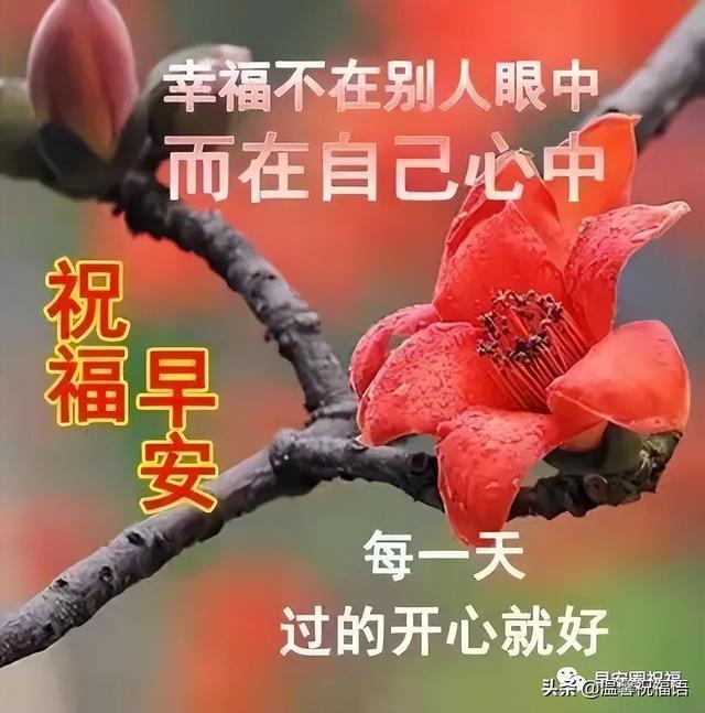 清晨祝福语，清晨祝福语正能量语（漂亮的早上祝福图带问候短语推荐发给朋友的最好祝福）