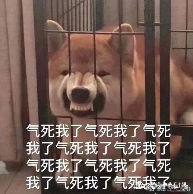 清吧是什么意思（拼桌酒吧，专骗傻瓜）