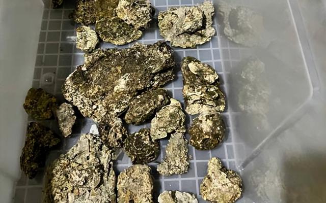 浮石属于哪种岩石，钱塘江闸口有人捡到白色浮石（浮石属于什么岩）
