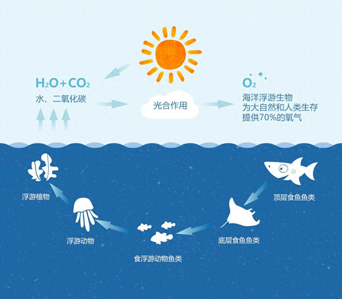 白垩刺甲鲨灭绝了吗，被其他霸主欺负亿万年的感觉