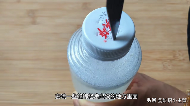 灭蟑螂的方法，灭蟑螂的方法 毒性灭蟑（只用一把大蒜轻松搞定）
