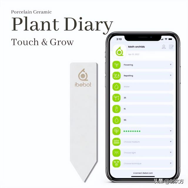 植物观察记录表，三年级植物观察记录表怎么做（植物生长，手机智能记录在册）