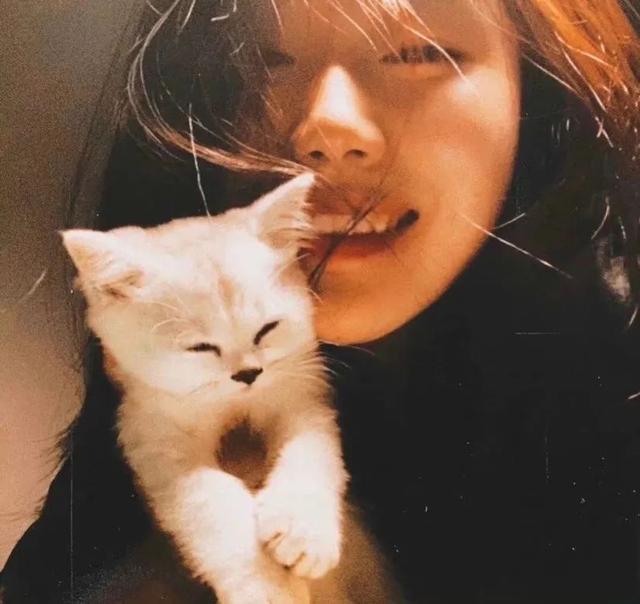 猫系女孩，微信头像，猫系女孩（女生头像：抱猫头像）