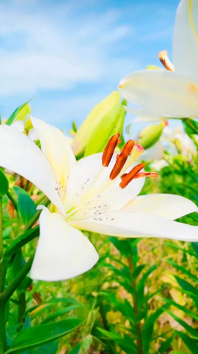 努力的意义是什么，努力的意义是什么图片（女人努力的意义是什么）