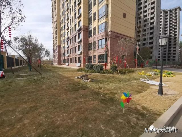 南阳房价最新消息，南阳房价一览表最新（这届南阳买房人真惨）