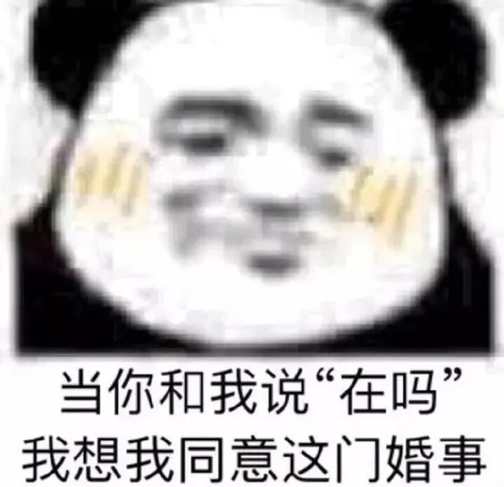 520情人节表情包