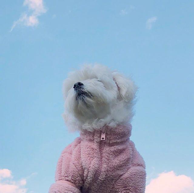 不开心的说说短句，不开心的说说短句男生（心情低落人生哲理短句）