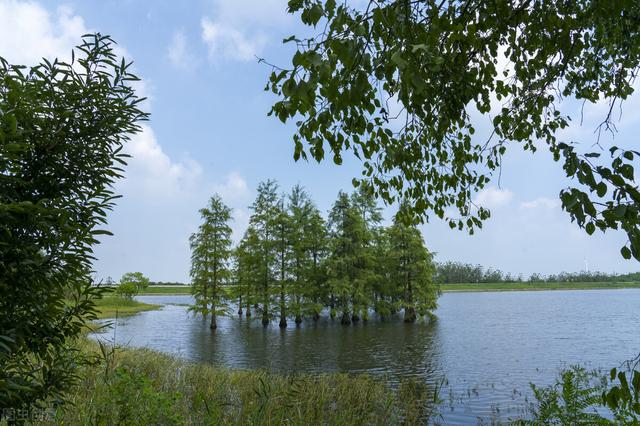 南京周边旅游景点推荐，南京周边自驾游（34个好玩又免费的宝藏公园）