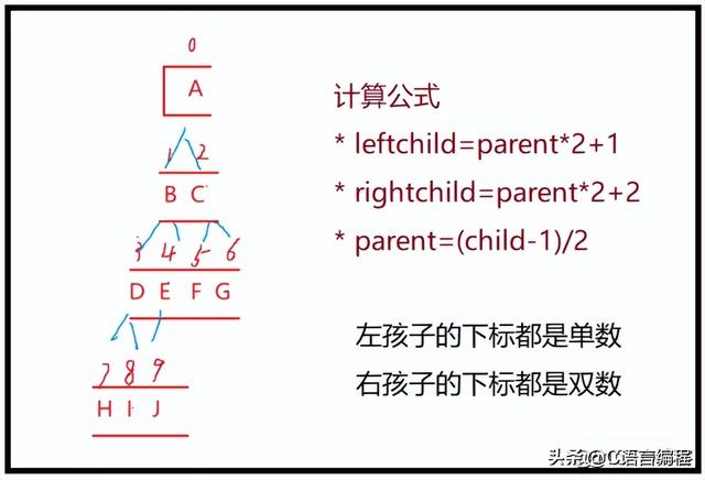二叉树的深度和高度有什么区别，二叉树的高度与深度（C语言数据结构：什么是树）