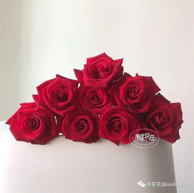 七朵玫瑰代表什么，最常见的红玫瑰（四朵玫瑰花是什么意思）