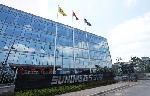 苏宁控股集团（苏宁控股集团成长史）