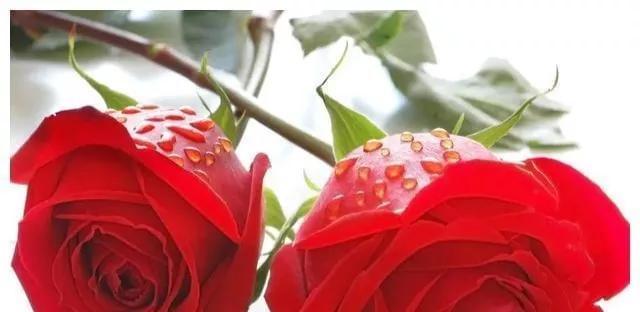 只要你幸福就好，你幸福就好的句子（有一种爱只要你幸福）