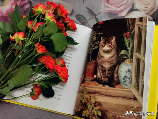 玫瑰的花语和它的传说，玫瑰的花语和它的传说有关（花朵在人类文明中的历史故事）