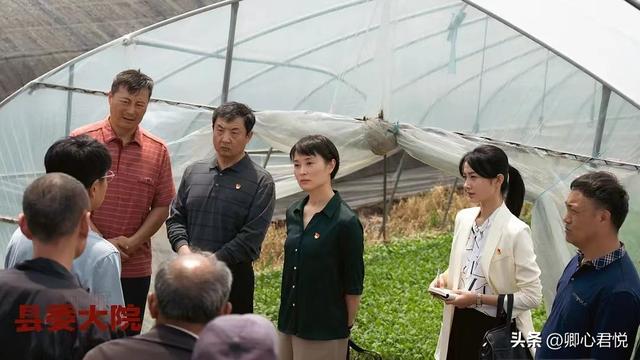 领导真心重视你的表现，领导重视你的表现有哪些（看不懂“小人物”梁三宝）