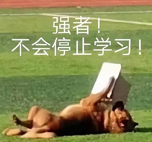 大学搜索（12款大学生必备APP和网站）