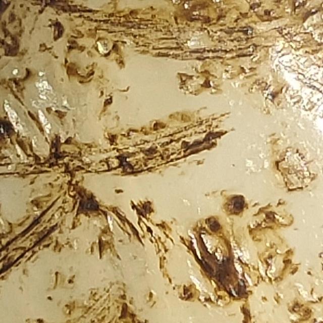 鸡的霸气语录，山鸡霸气语录（替俺的小公鸡辩解两句）