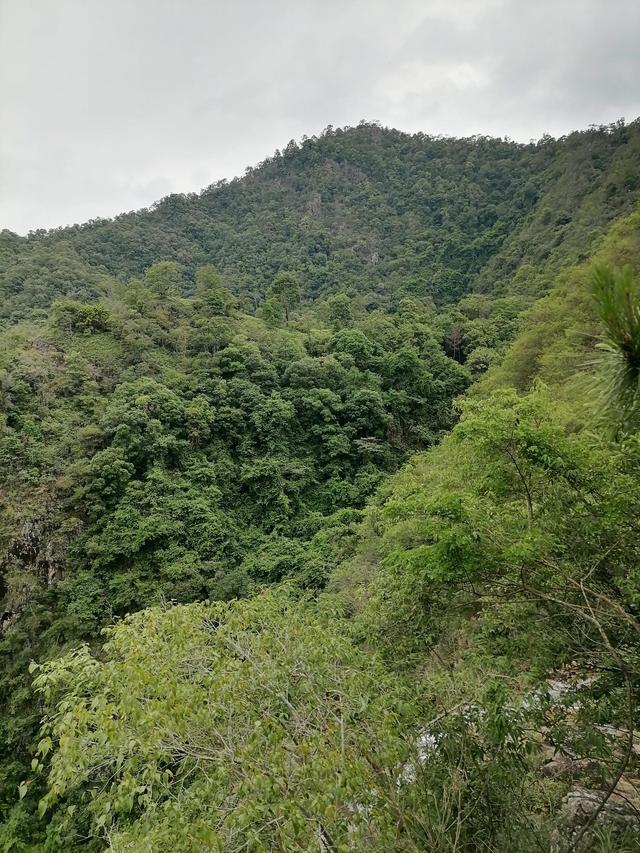 大自然的搬运工，大自然的搬运工是什么动物（大自然的搬运工是什么动物日记）