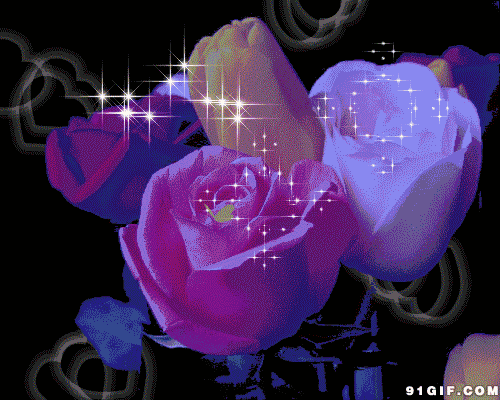 999朵玫瑰，送你999朵动态玫瑰花（999朵玫瑰邰正宵）