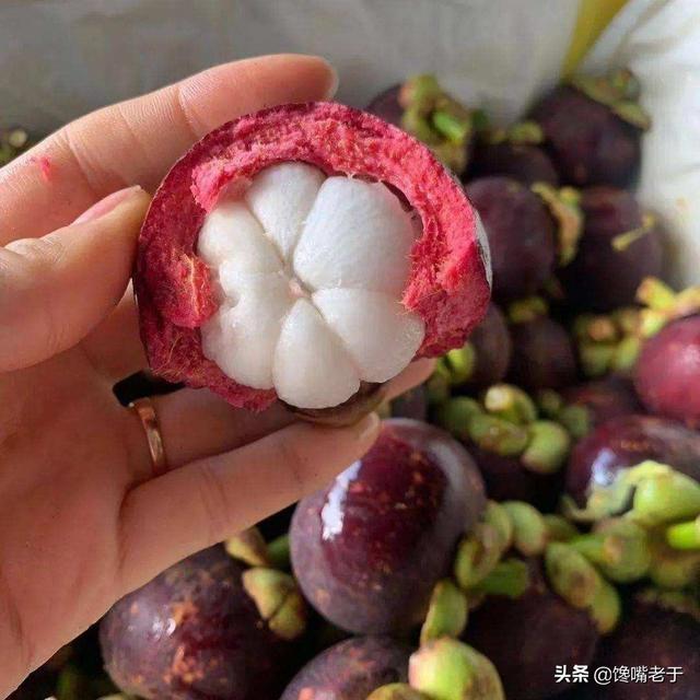 如何挑选山竹 山竹怎么选，如何挑选山竹（肉多无核一挑一个准）