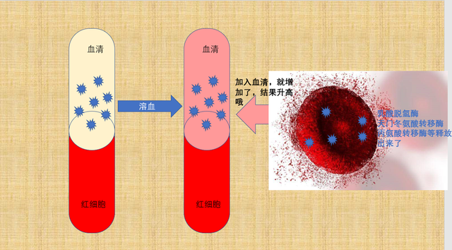 仅供参考什么意思，梦见和前任接吻是什么意思（为什么有的化验单上注明“结果仅供参考”）