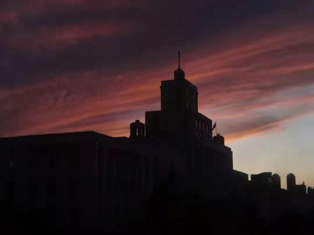 东北林业大学（东北林业大学怎么样）