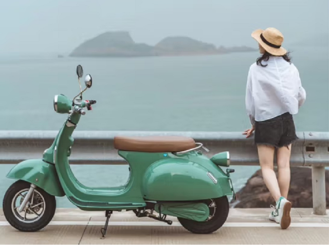 电动车电池排名前十名，锂电池电动汽车排行榜前十名（电动车48伏、60伏、72伏）