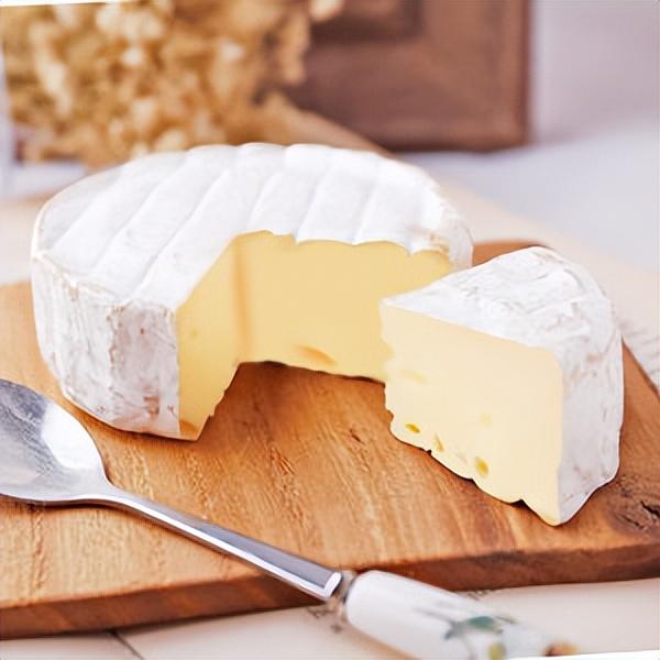 乳酪是什么，乳酪是什么味道（奶酪、乳酪、起司、起士）