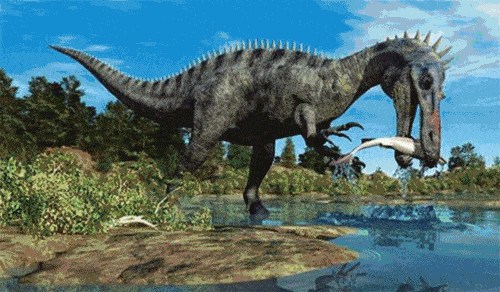 大雁和鹅的区别，大雁和鹅的区别是什么（鹅的真实面貌超出大家的想象）