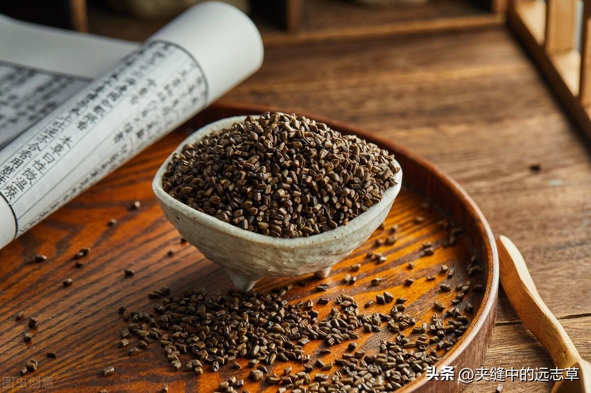 车前的功效与作用(路边不起眼的车前子也有大功效) - 行就行