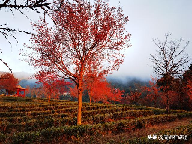 昆明到丽江多少公里，昆明到丽江有多远（一人一车自驾游云南70多天）