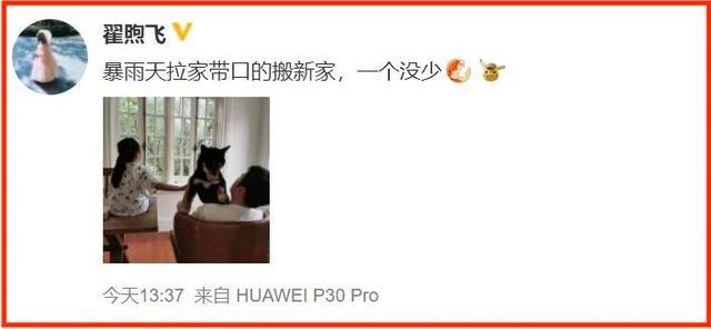 断奶电视剧佟丽娅，断奶电视剧结局（“金鹰视帝”参加婚礼）