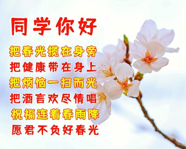 给同学的祝福语简短，给同学的简短祝福语（送给老同学的祝福语图片）