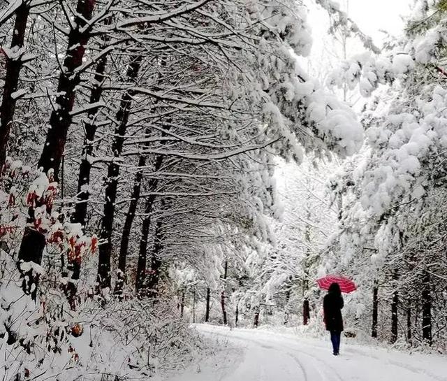 特大暴雪标准，特大暴雪是怎么形成的（特大暴雪断崖式降温确认）