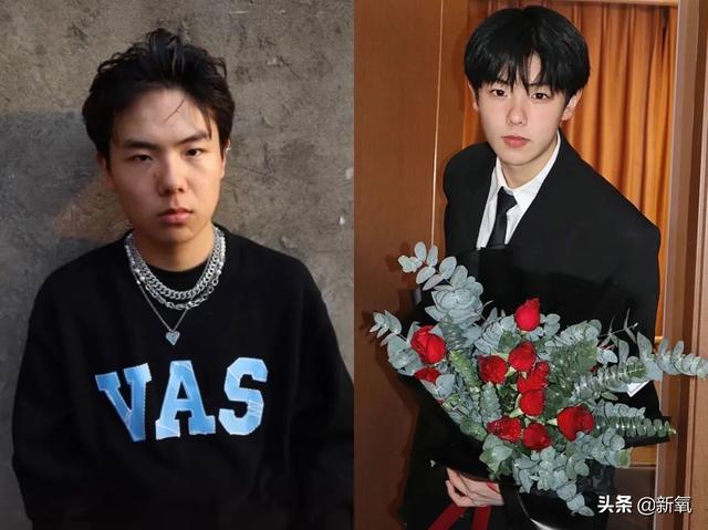 扑棱蛾子是什么梗，扑棱蛾子是什么梗贝斯（听说他换头是靠p的）