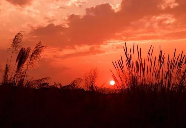 草木皆兵的主人公是谁，草木皆兵的主人公读音（幼时笑他草木皆兵）