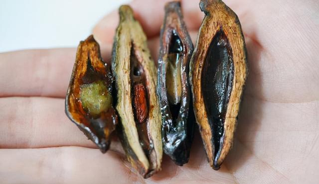 嚼槟榔为什么上瘾，吃槟榔为什么会上瘾（我国约有1亿人在嚼槟榔）