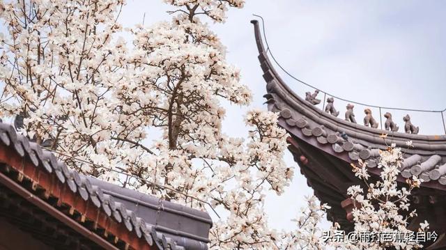 鸡鸣寺要门票吗，鸡鸣寺要预约吗（2023年南京吃住行玩超全攻略）