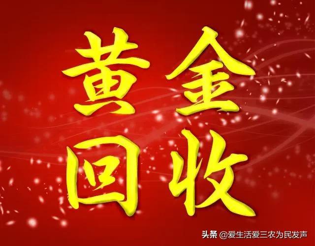 0个偏门暴利赚钱项目(十大偏门赚钱项目)"