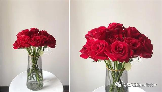 七朵玫瑰代表什么，最常见的红玫瑰（四朵玫瑰花是什么意思）