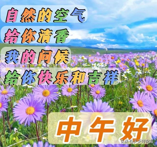七开头的成语祝福，七字开头的成语祝福语（开心就对；健康长寿）