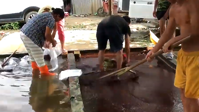 红虫是什么的幼虫，红虫是什么（臭水沟“红虫子”居然百元1斤）